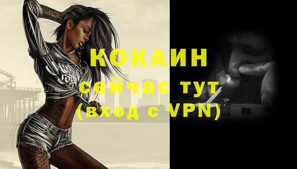 ALPHA PVP Инсар