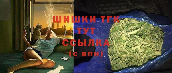 ALPHA PVP Инсар