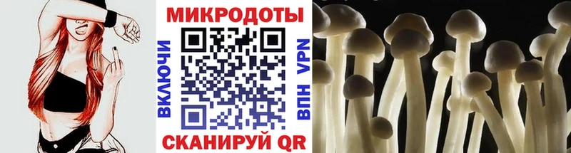 Галлюциногенные грибы мицелий  Москва 