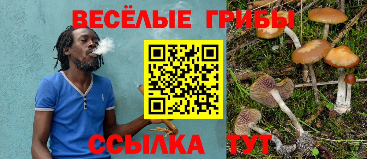 Галлюциногенные грибы мицелий  Галлюциногенные грибы мухоморы  где можно купить наркотик  Москва  Вход с VPN 