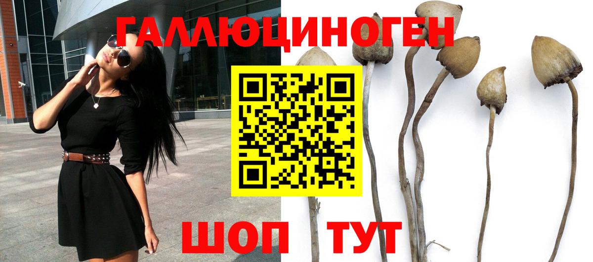 Галлюциногенные грибы мицелий  Москва  Псилоцибиновые грибы мицелий 