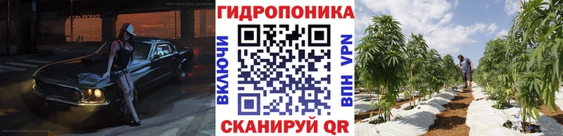 Шишки марихуана ГИДРОПОН  KRAKEN ссылка  Москва 